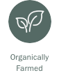 Load image into Gallery viewer, Bonterra Chardonnay